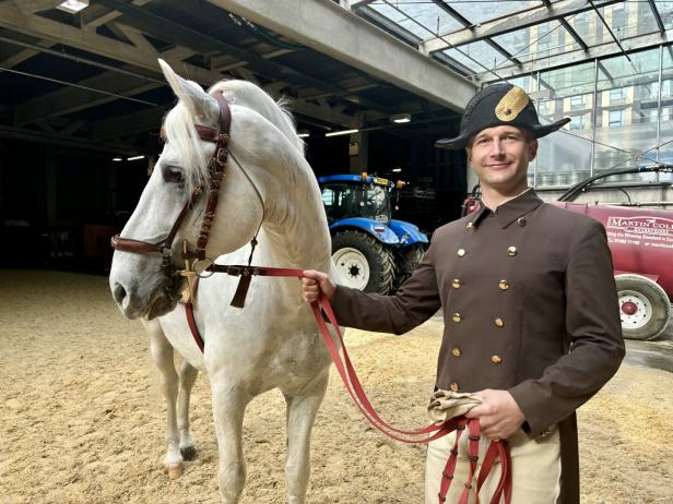 Hengste on Tour: Wiens Lipizzaner tänzeln wieder in London