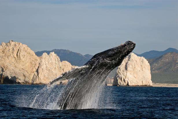 Los Cabos: Eine mexikanische Halbinsel als  51. US-Bundesstaat