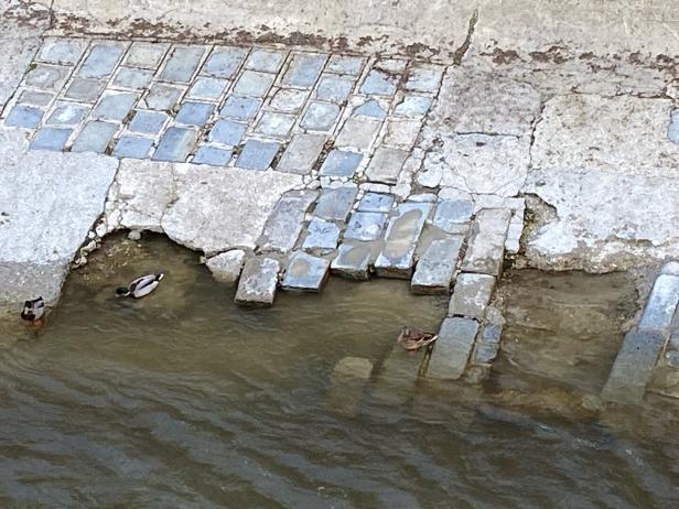 Löcher und angespülte Steine: Wienfluss an mehreren Stellen beschädigt