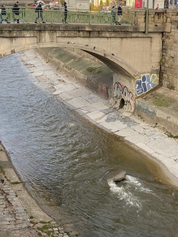 Löcher und angespülte Steine: Wienfluss an mehreren Stellen beschädigt