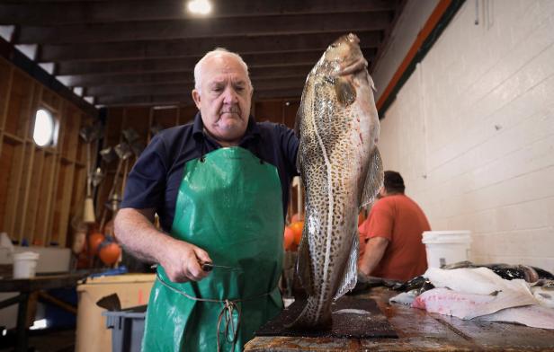 Von den Raubzügen am meisten betroffenen ist der Dorsch, der wird  vor allem für Fischstäbchen verwendet. Iglo versucht, auf Dorsch aus amerikanischen Gewässern um Alaska umzusteigen.