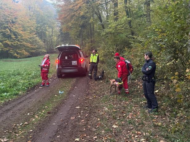 81-jähriger Mann verschwunden: Taucher durchkämmten Teiche in NÖ