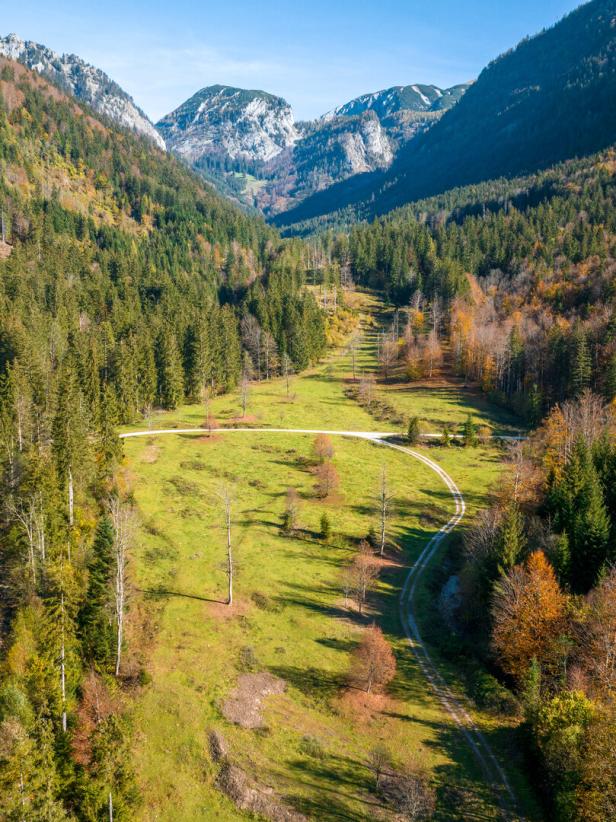 Die Rettenbachalm im Sonnenschein: Grüne Wiese, herbstliche Bäume.