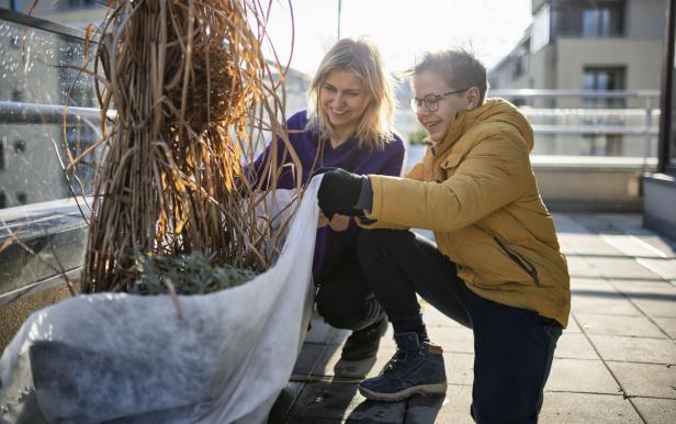 Der winterfitte Garten: 10 Arbeiten, die jetzt erledigt werden sollten