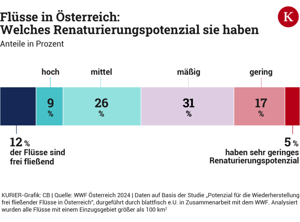 So schlimm steht es um Österreichs Flüsse und so kann es besser werden