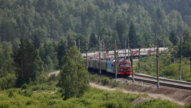 Ein roter Zug fährt durch eine grüne Waldlandschaft.