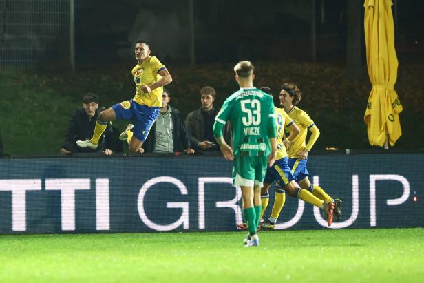 Zwei Baustellen beschäftigen Rapid nach dem blamablen Cup-Aus