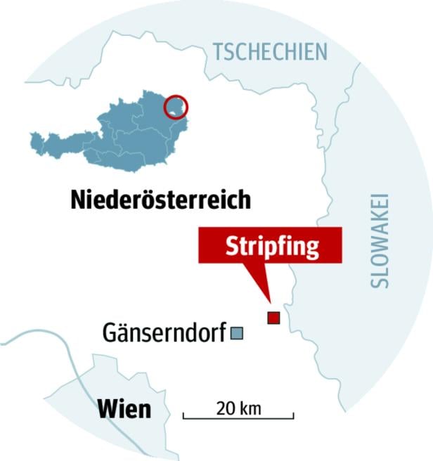 Stripfing: Das Dorf der Rapid-Bezwinger