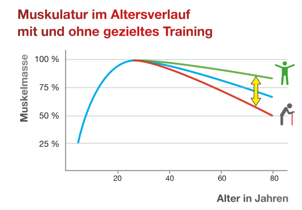 Krafttraining: Die magische Formel gegen den Alterungsprozess