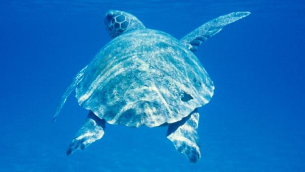 Der Süd-Peloponnes erfindet sich neu