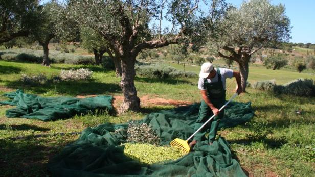 Der Süd-Peloponnes erfindet sich neu