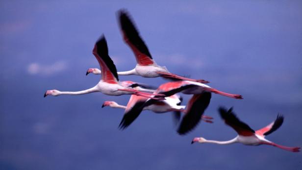 Der Süd-Peloponnes erfindet sich neu