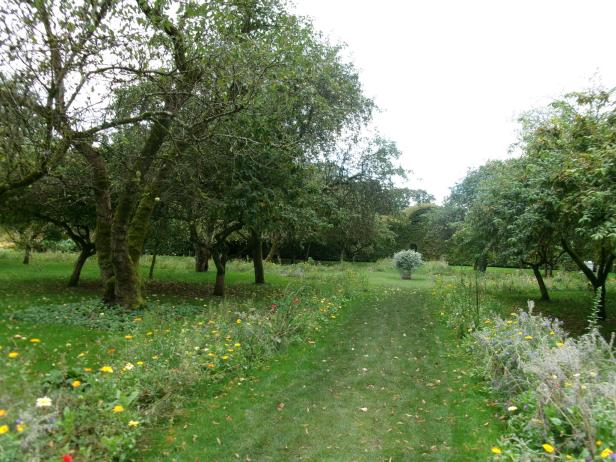 Ein grüner Rasenweg führt durch einen Obstgarten mit blühenden Blumen.