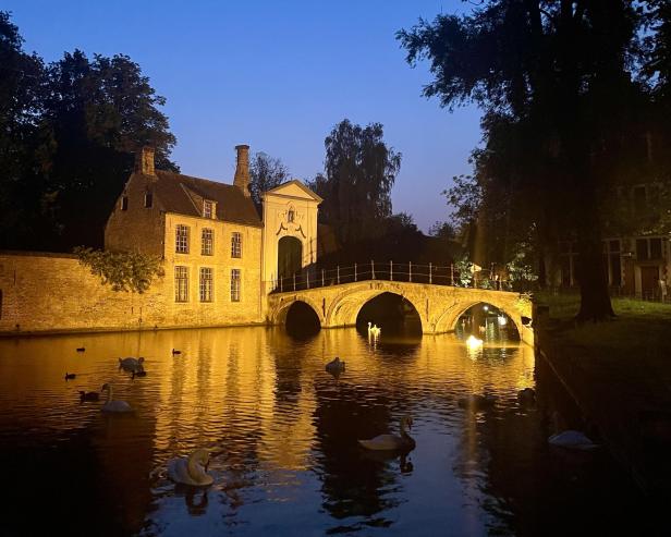 Eine abendliche Szene in Brügge mit einem Kanal, einer Brücke und schwimmenden Schwänen.