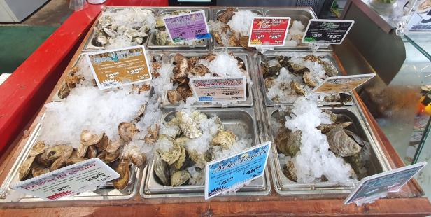 Austern und Meeresfrüchte vom Jean Talon Markt in Montreal