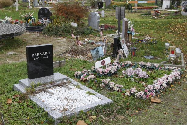 Tierfriedhof in Simmering: Wo die Liebe zum Tier nie aufhört