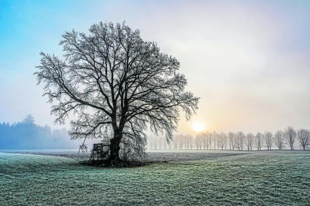 Magische Bildwelten  im Neuen Linzer Rathaus