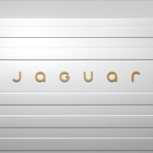 jaguardevicemark1x1191124.jpg