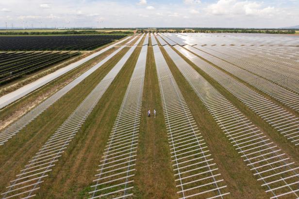 Für Agri-PV-Anlagen werden Modulständer oft ohne Betonfundament im Boden verankert, darunter bleibt beschattete Weidefläche