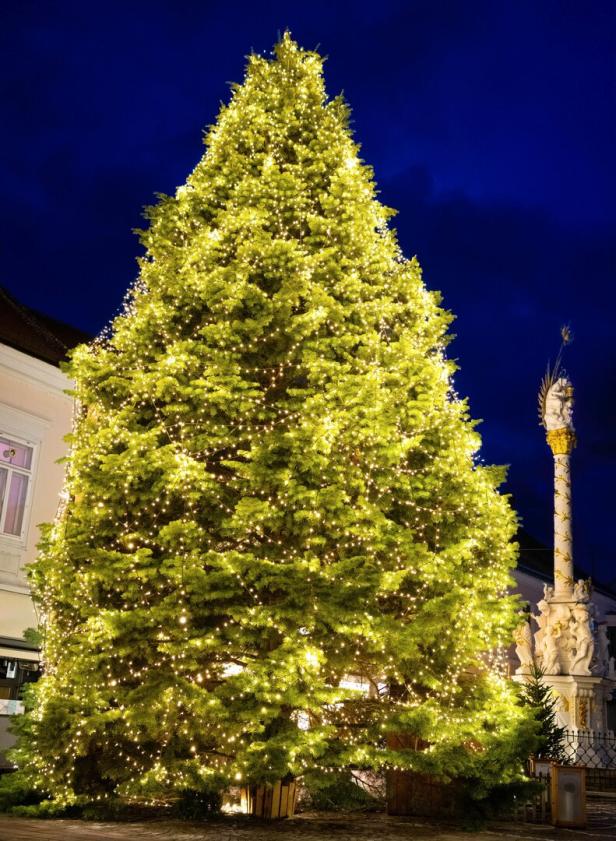 Der Sieger ist gekürt: Wo steht der schönste Christbaum?