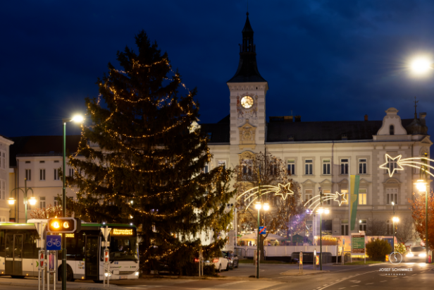 Eine Kirche und ein Weihnachtsbaum bei Nacht.