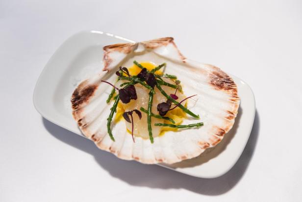 Immersive Dining in Wien: Im Great Barrier Reef bekommt man ganz besondere Jakobsmuscheln.