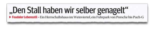 Nach den KURIER-Enthüllungen wurde es für Jungwirth eng.