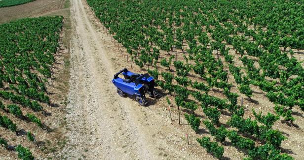 Akkus für Bacchus: Ein Roboter soll im Burgenland bei der Weinlese helfen