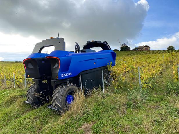 Akkus für Bacchus: Ein Roboter soll im Burgenland bei der Weinlese helfen