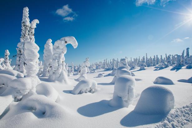 Verschneite Bäume in einer Winterlandschaft unter blauem Himmel.