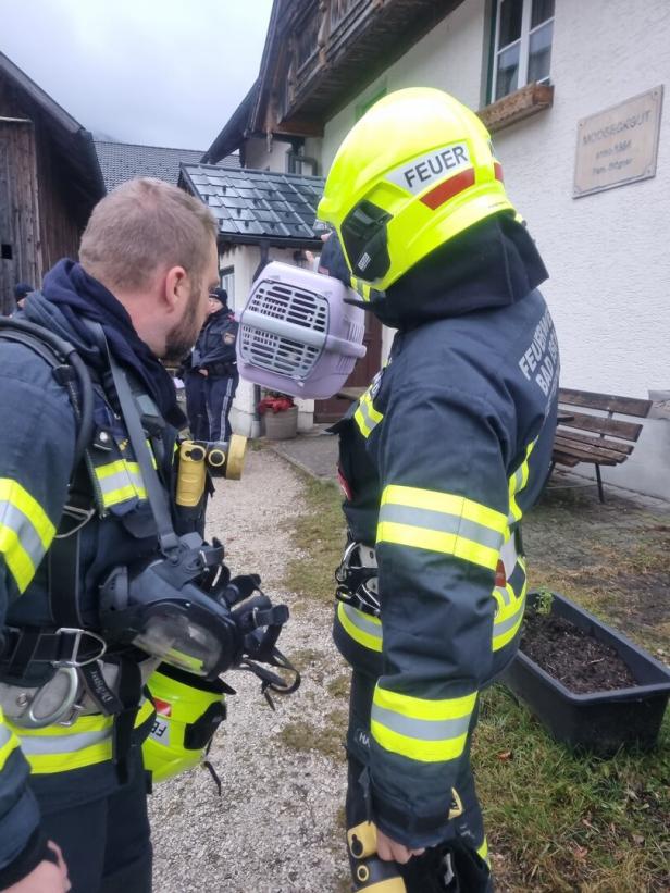 Küchenbrand in Bad Ischl: Panische Katze rettet Bewohner das Leben