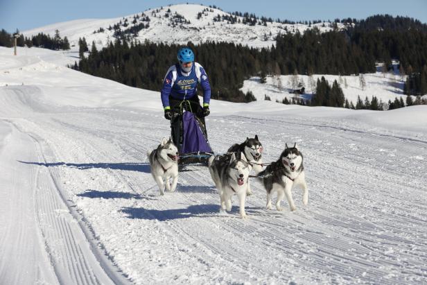 Ein Mann fährt mit einem von vier Huskys gezogenen Schlitten durch eine Winterlandschaft.