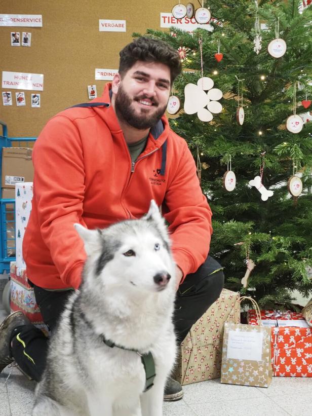 Weihnachten für Hund und Katz: Eine tierisch schöne Bescherung