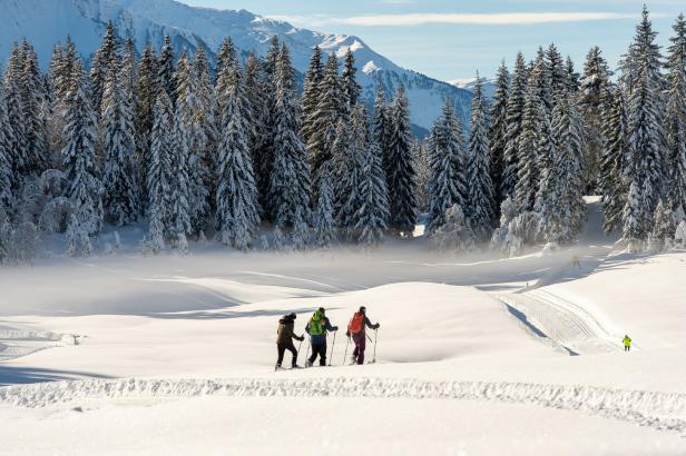 Drei Personen wandern mit Schneeschuhen durch eine verschneite Winterlandschaft mit Tannenbäumen und Bergen im Hintergrund.