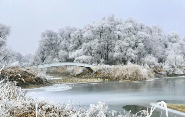 Niederösterreich, Nationalpark Donau-Auen: Mit dem Nationalpark-Rangerteam Tiere beobachten und Auen erforschen. Donauauen.at