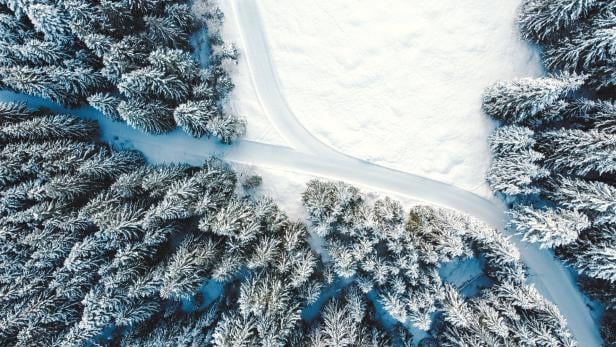 Eine verschneite Straße schlängelt sich durch einen Winterwald.