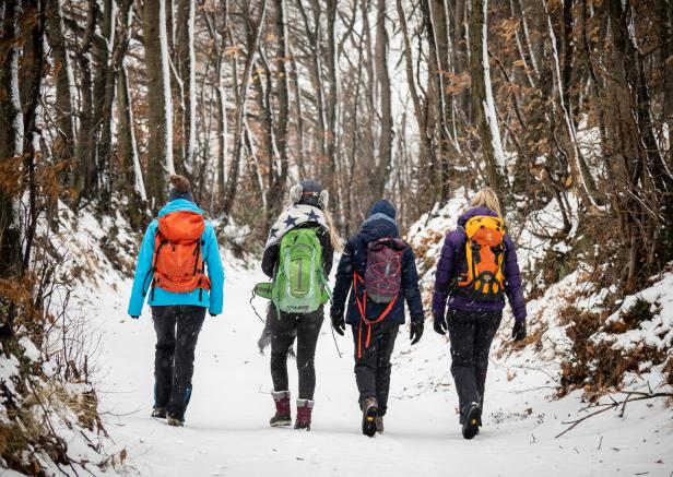 Vier Personen wandern mit Rucksäcken auf einem verschneiten Weg durch einen Wald.