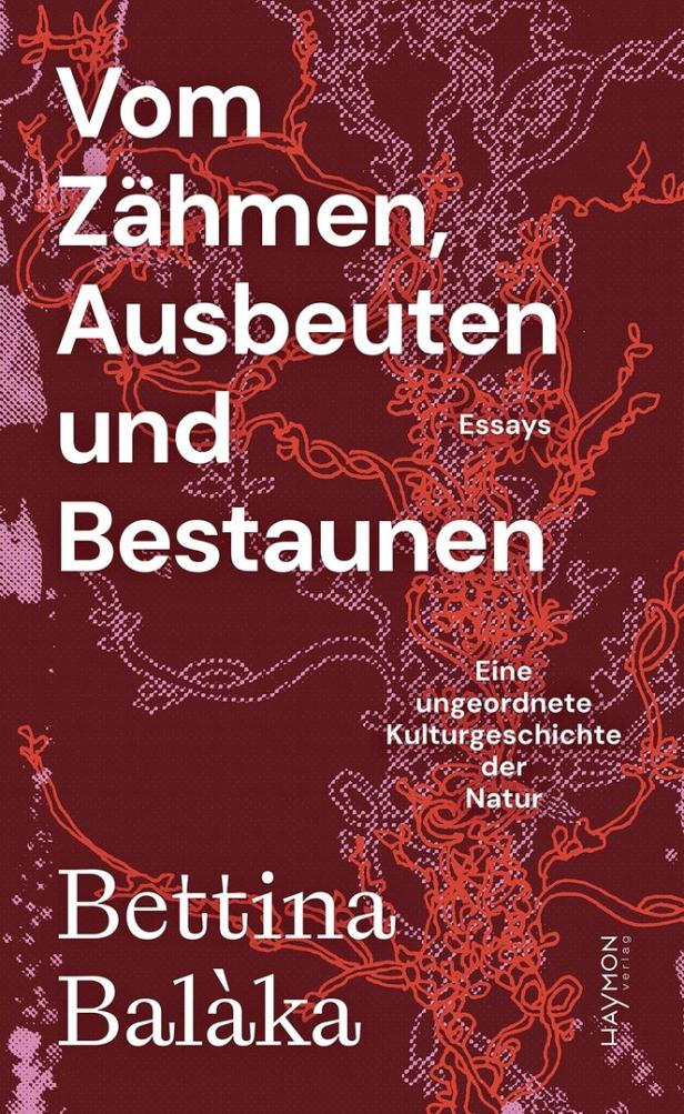 Über Tiere schreiben: literarische Expeditionen zu Krähen, Kraken und anderen Meerestieren