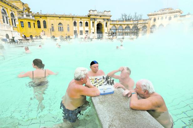 4231-04: Hongrie, Budapest. Bains Szechenyi, joueu…