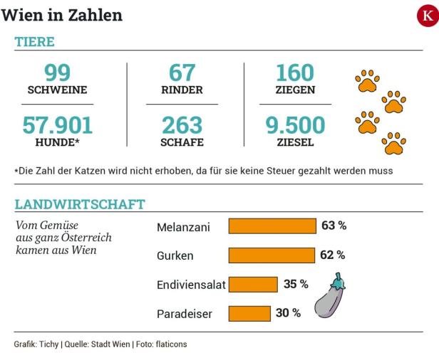 Details aus der Statistik: Wie tickt Wien?