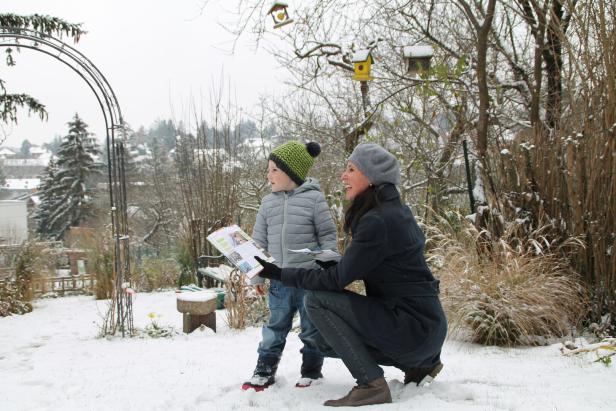 Stunde der Wintervögel:  Zähl mal, wer da zwitschert