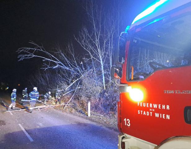 ++ HANDOUT ++ WIEN: STURM SORGTE FÜR EINE ERHÖHTE ANZAHL AN FEUERWEHREINSÄTZEN