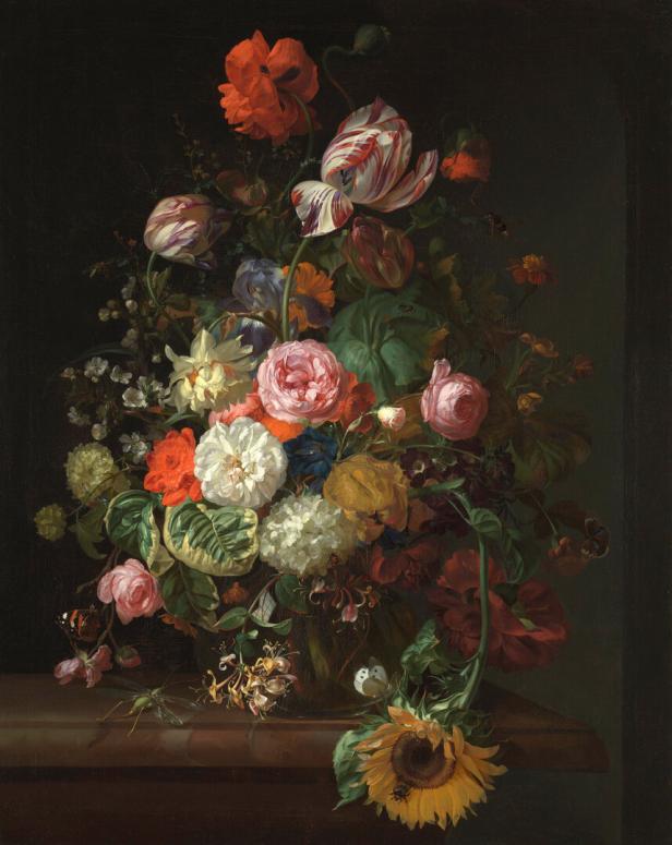 Die Malerin Rachel Ruysch und die Schönheit des Wissensdursts