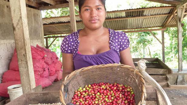 Fair Trade: Gütesiegel für gerechte Preise