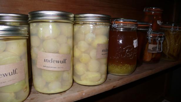 Fermentation 7.jpg