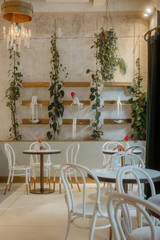 Innenansicht eines Cafés mit weißen Stühlen und Tischen vor einer Wand mit Pflanzen und Regalen.