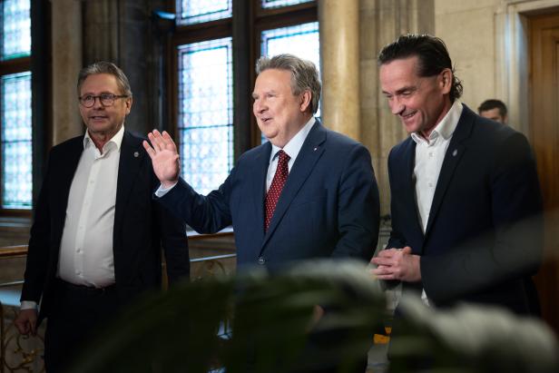 Warum bei Austria und Rapid im Rathaus auch die Politik mitspielte