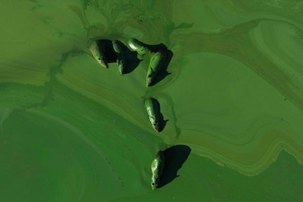 Die besten Bilder des Tages