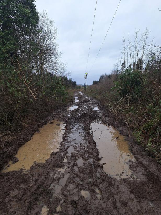 Sturm Éowyn in Irland: Niederösterreicher halfen im Katastrophengebiet