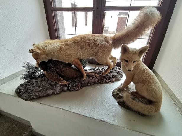 Jagdmuseum Schloss Hohenbrunn Nach Doppelmord eines Jägers: OÖ installiert "Einsatzgruppe in Lodengrün"